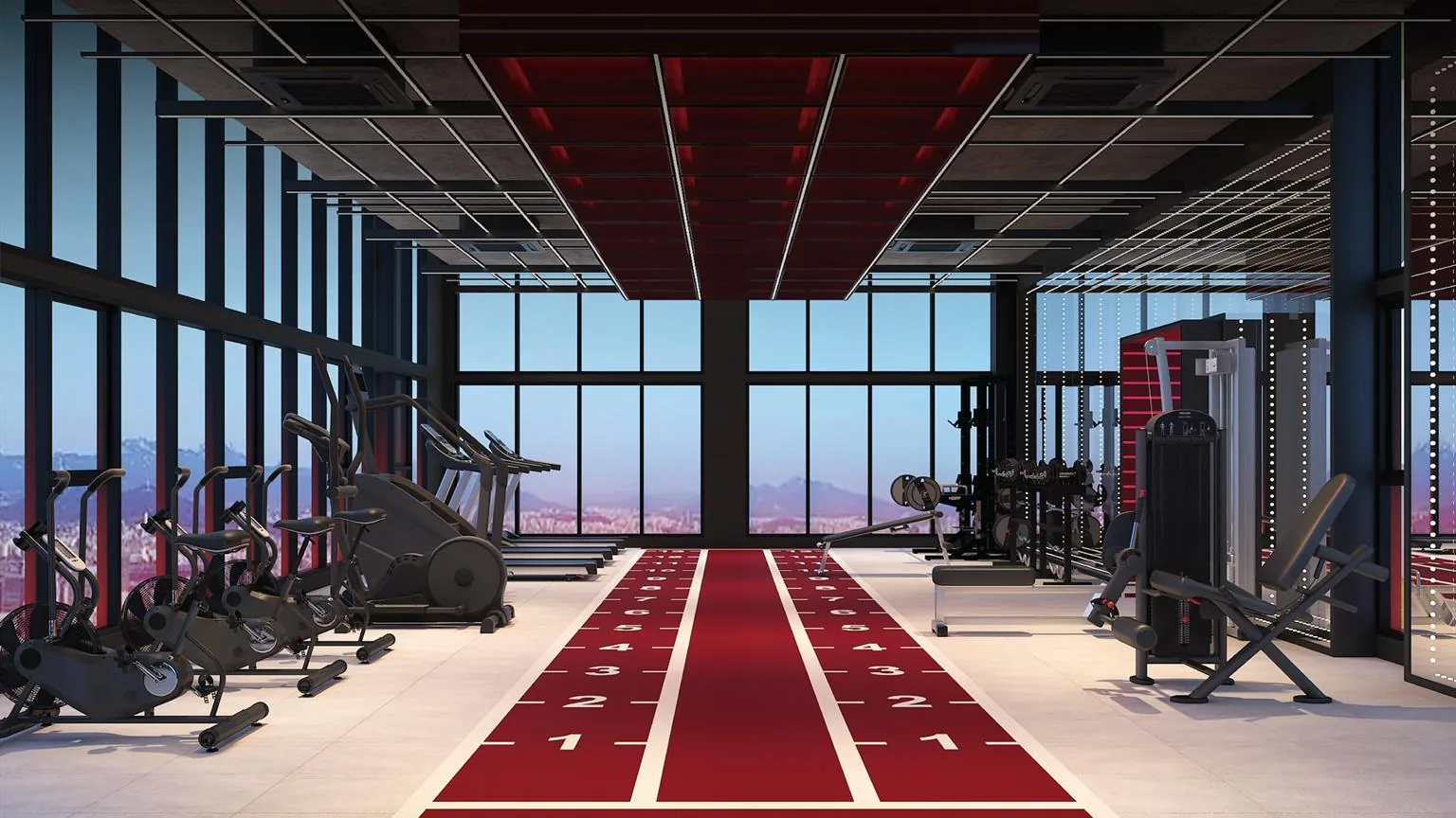 Gymnasium